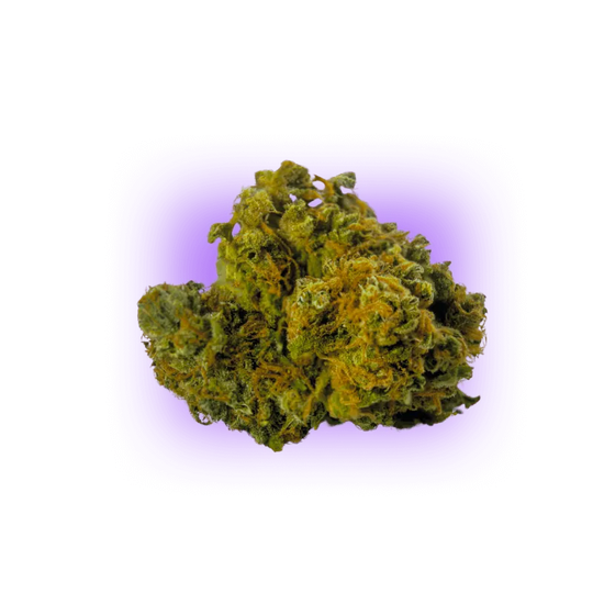Sementes de Cannabis AK47 auto. 3 unidades