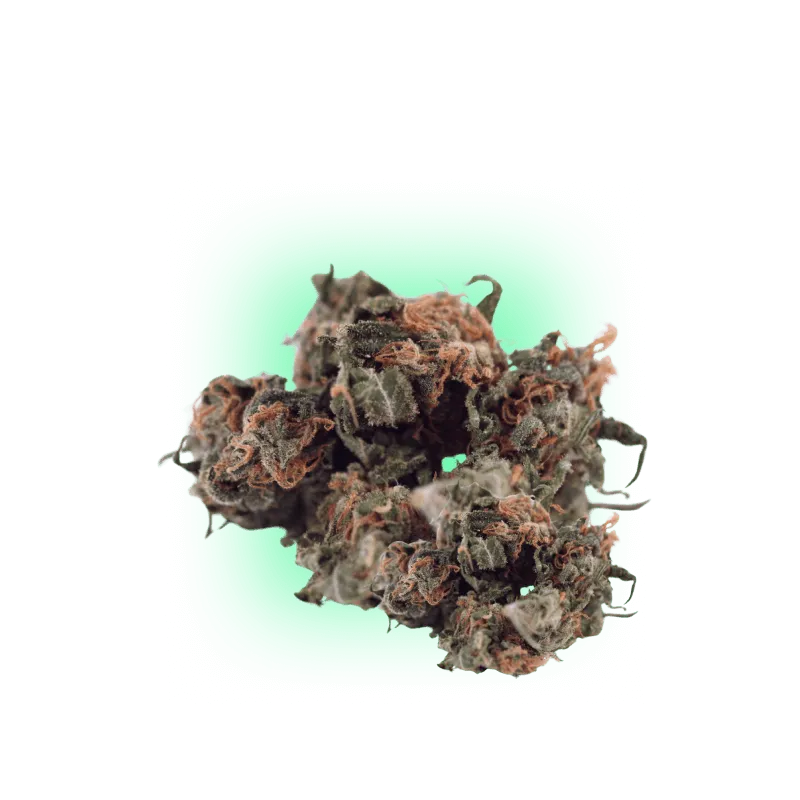 Pack Mistura Automática de 5 Sementes de Cannabis