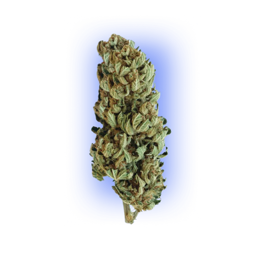 Cannabiszaden Gorilla XL auto. 3 stuks