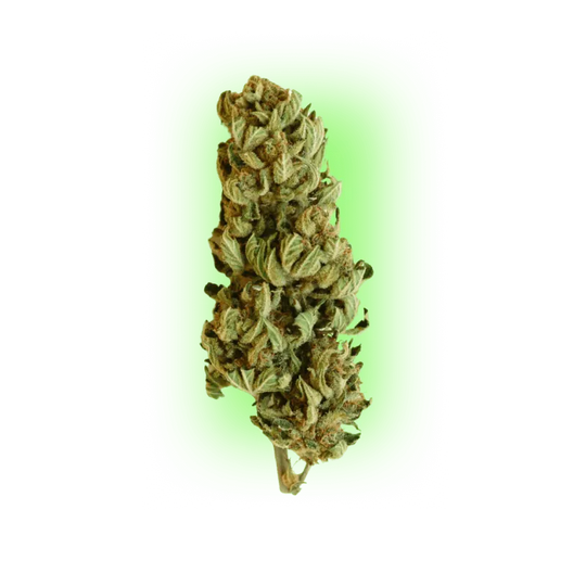 Cannabiszaden Northern Light Indica 100% 3 stuks