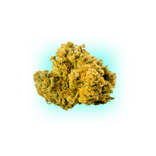 Sementes de Cannabis Biscotti 3 unidades