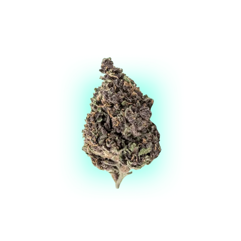 Pack Mistura de 5 Sementes Automáticas de Cannabis