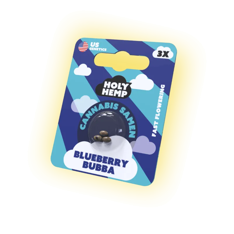 Nasiona Blueberry Bubba | 3 nasiona US Genetics