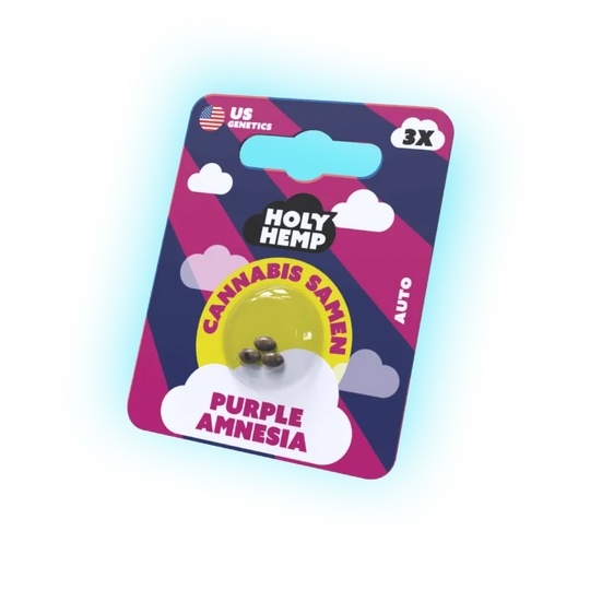 Seeds Purple Amnesia | 3 Seeds US Genetics