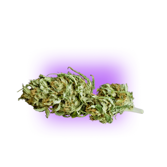 Fleur CBD Cheese sans THC
