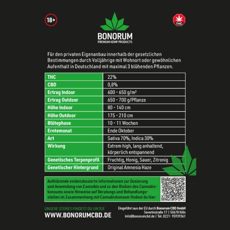 Nasiona Amnesia Haze Original THC 🌱