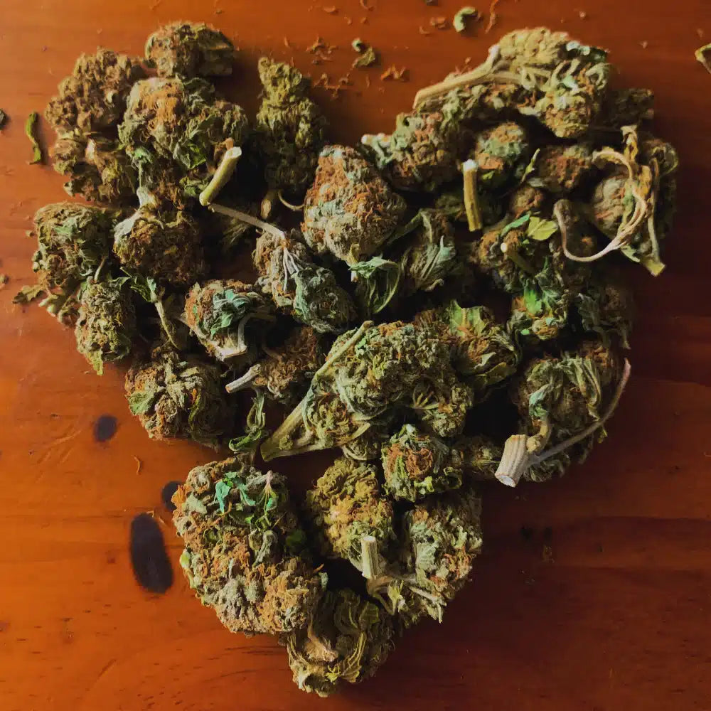 Flores de Cannabis HHC Benefícios dos Canabinoides