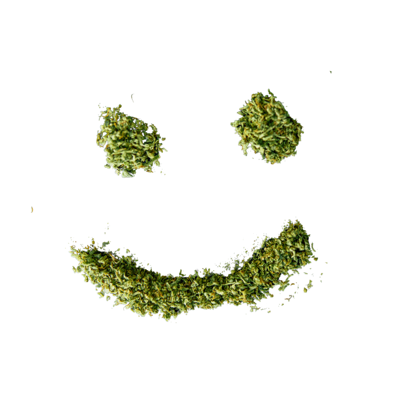 laughing smiley from hhc Flowers