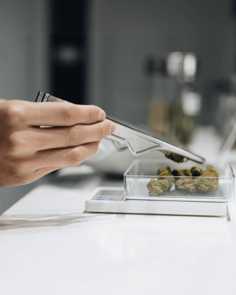 Buy Cannabis Reutlingen