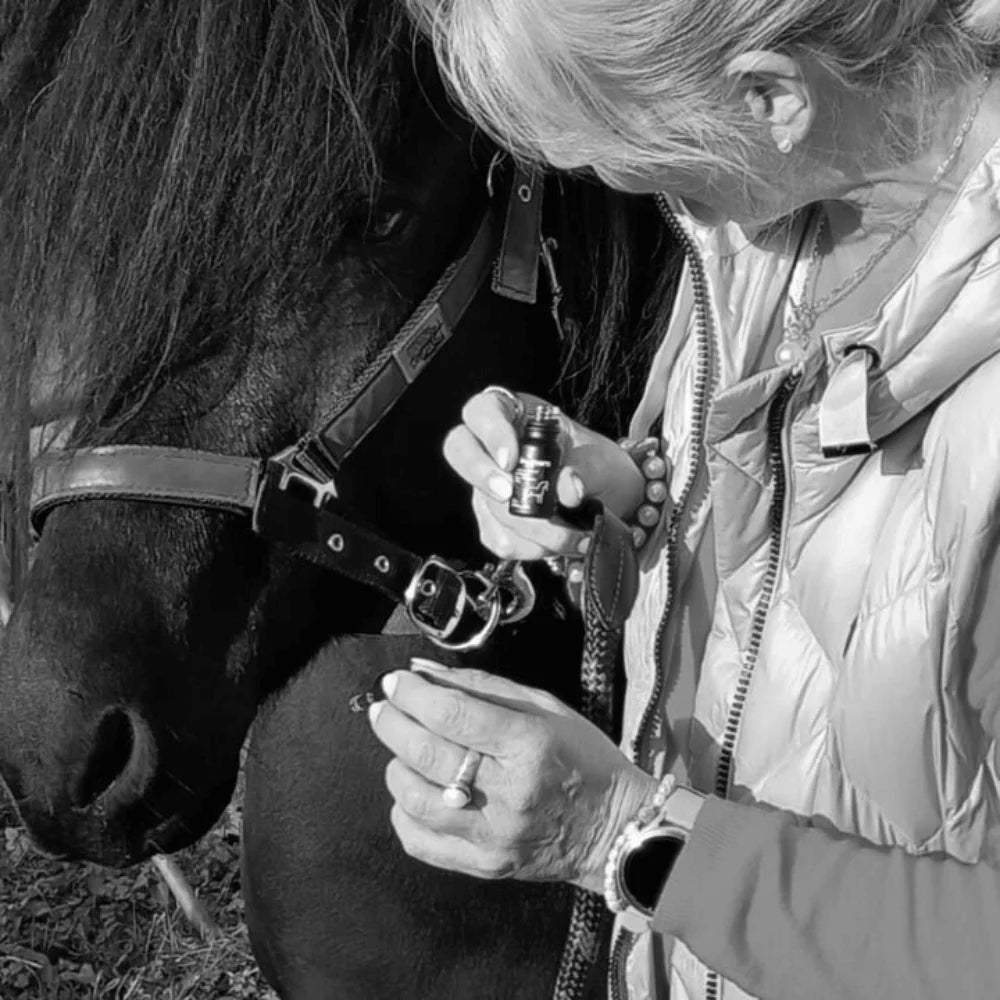 Bijwerking van CBD Oil bij het paard