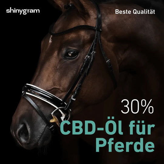 Olej CBD dla koni 30%