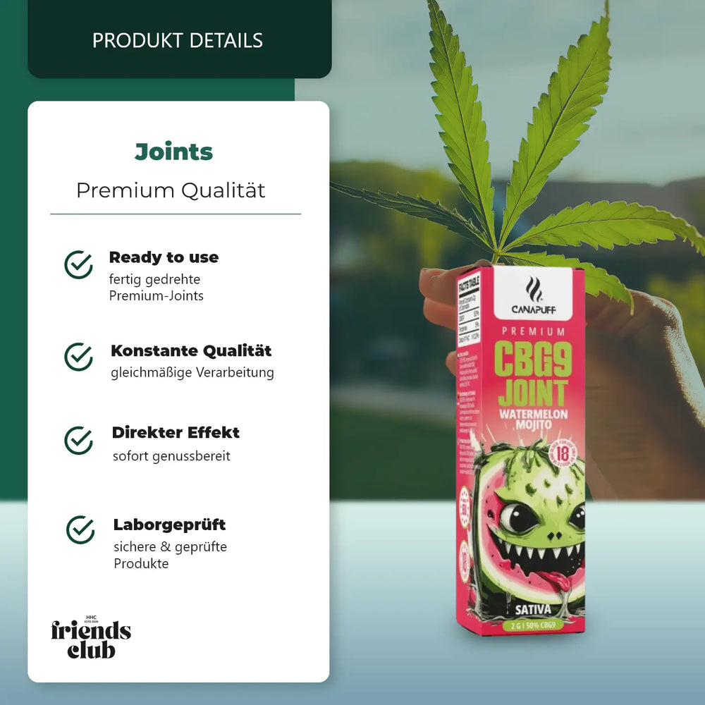 CBG9 Joint Görögdinnye Mojito 50% 2g-Smagro GmbH