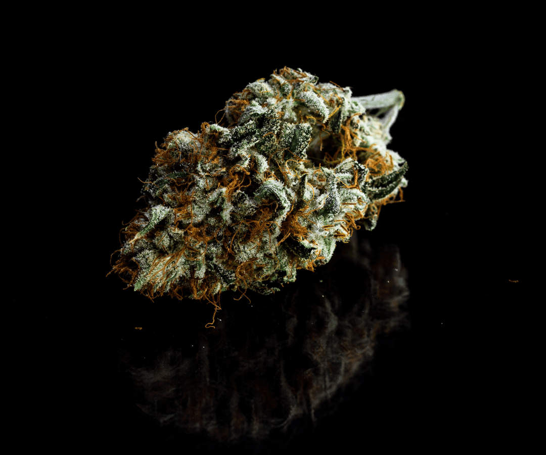 Cannabis HHC Knospen Bloemen Berlijn