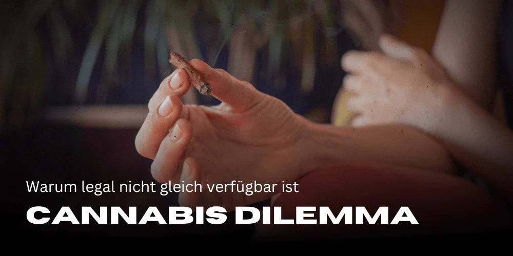 juridisch_dilemma_duitsland