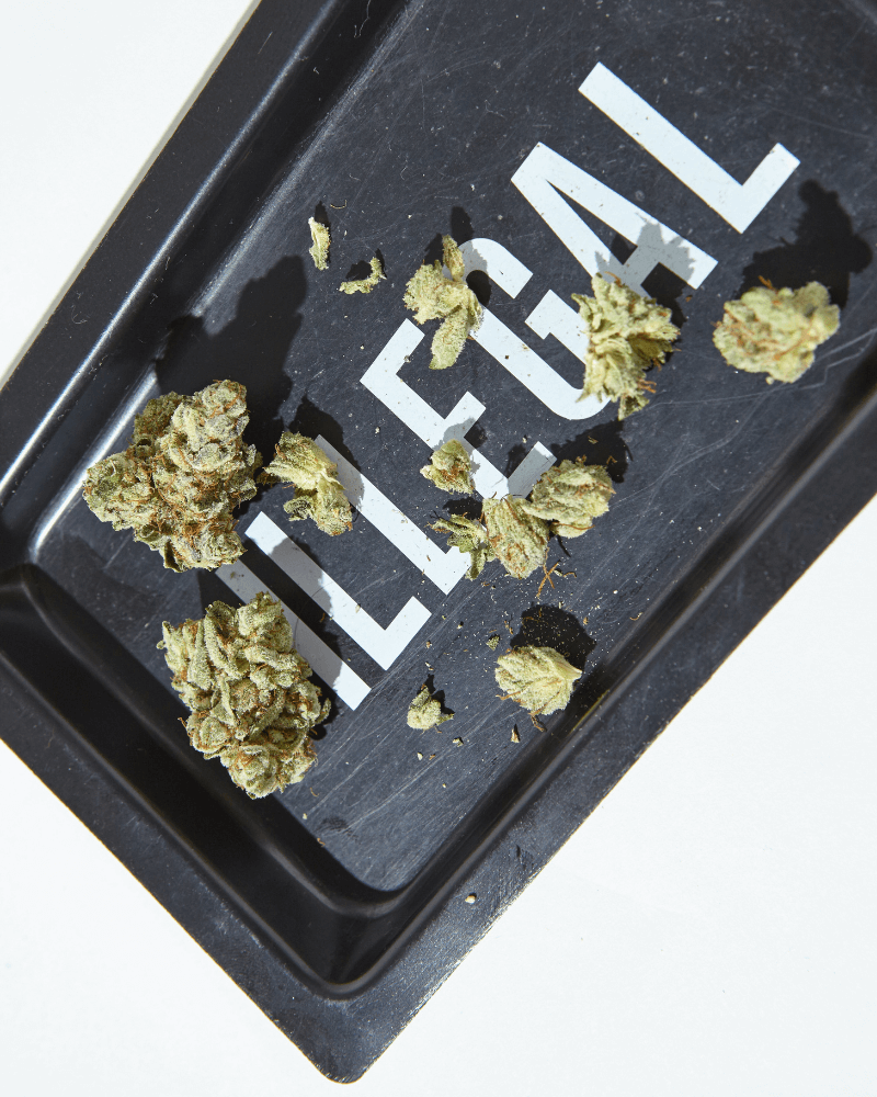 Advantages of Rolling Trays