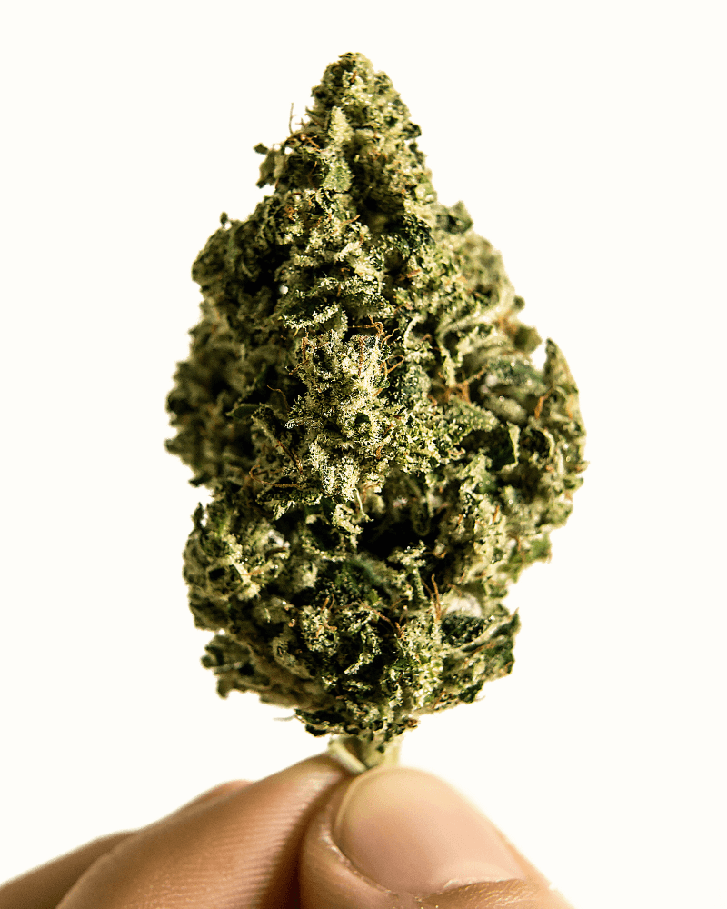 Effect van nieuw cannabinoïde THC-JD