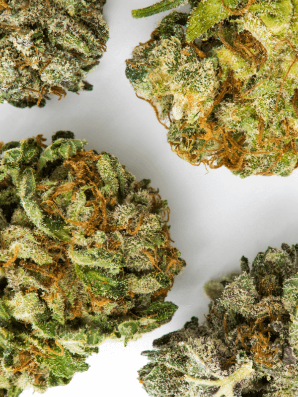 Flores de THCP para comprar - Flores de Cannabis