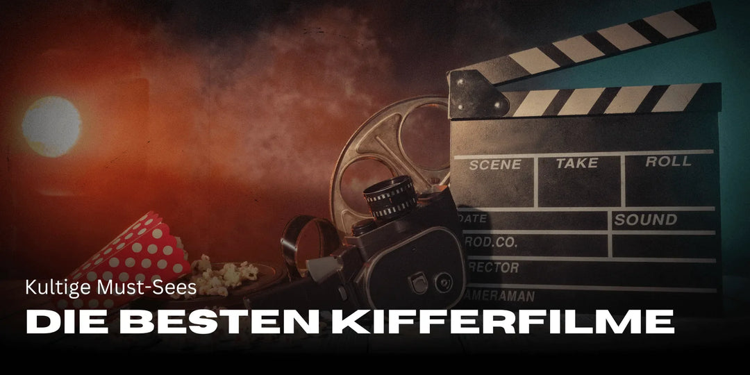 Les meilleurs films de stoners de tous les temps – des incontournables cultes