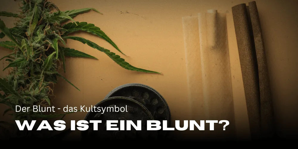 Ce este un Blunt?