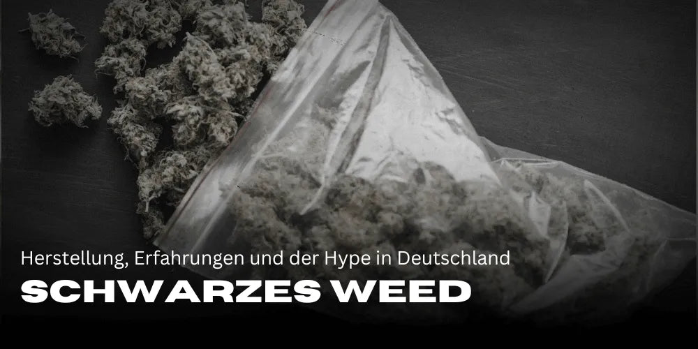 Weed noir : fabrication, expériences et le buzz en Allemagne