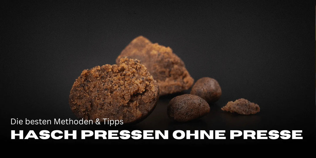 Presser du hash sans presse : Les meilleures méthodes et astuces