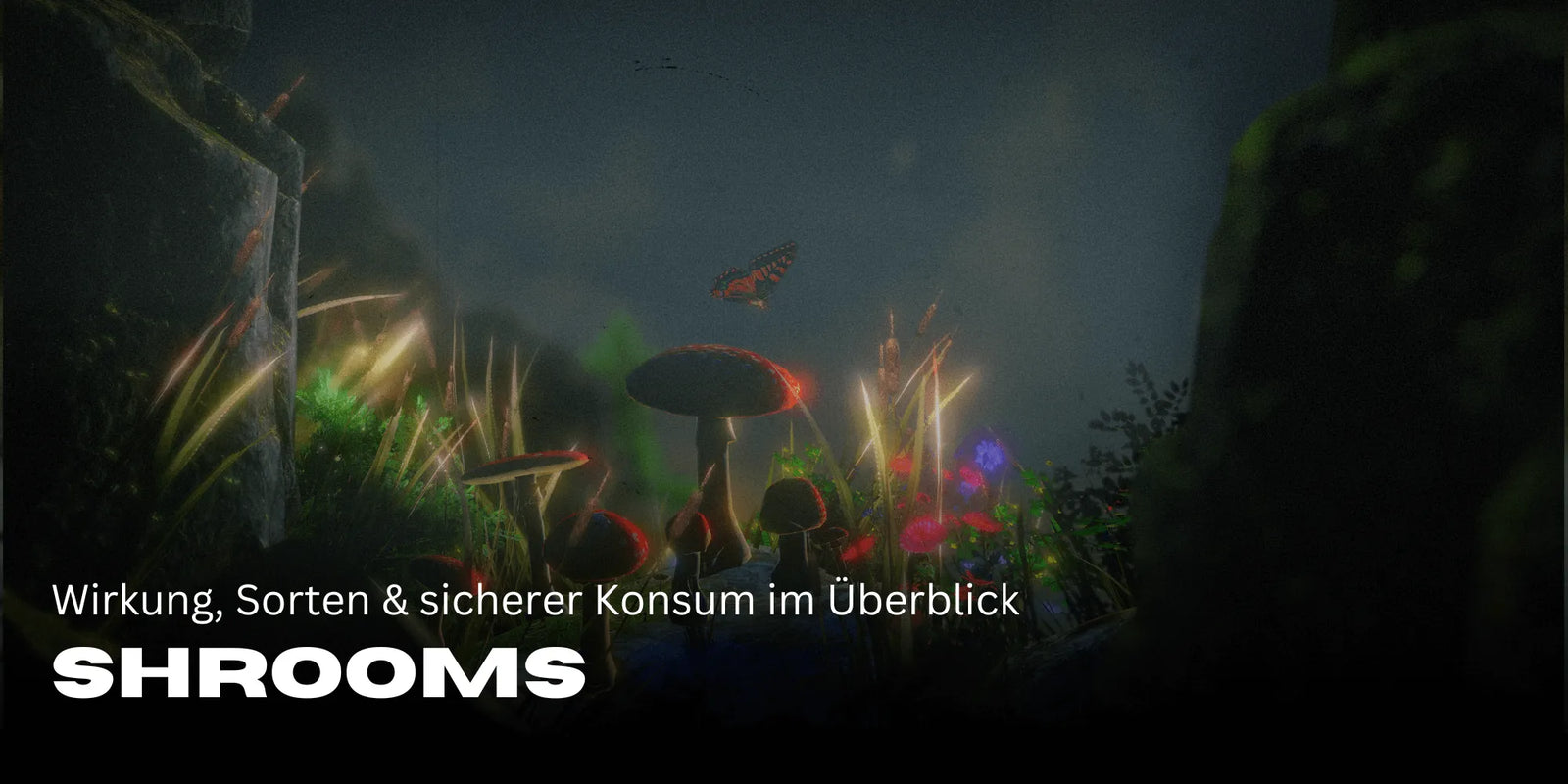 Shrooms: Efekty, odmiany i bezpieczne spożycie – przegląd