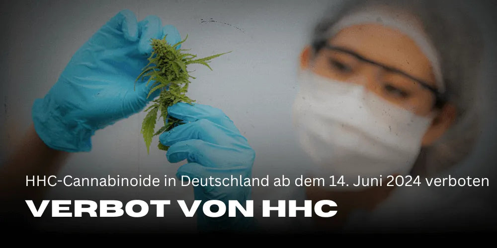 Interzicerea canabinoizilor HHC în Germania începând cu 14 iunie 2024