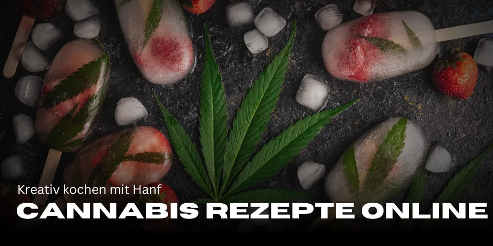 Rețete de canabis online: Gătește creativ cu cânepă