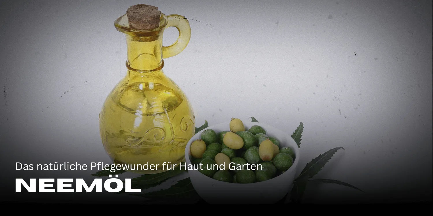 Huile de neem : le soin naturel miracle pour la peau et le jardin