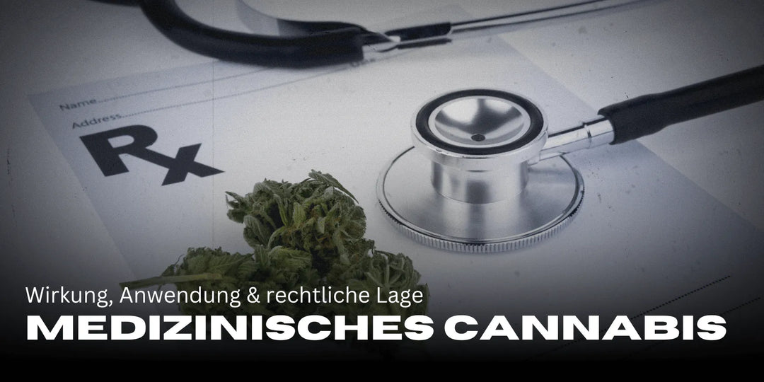 Cannabis médical : effets, utilisation & situation légale