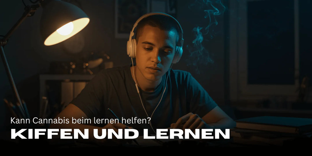 Wiet roken en studeren: Kan cannabis je helpen studeren of is het schadelijker?