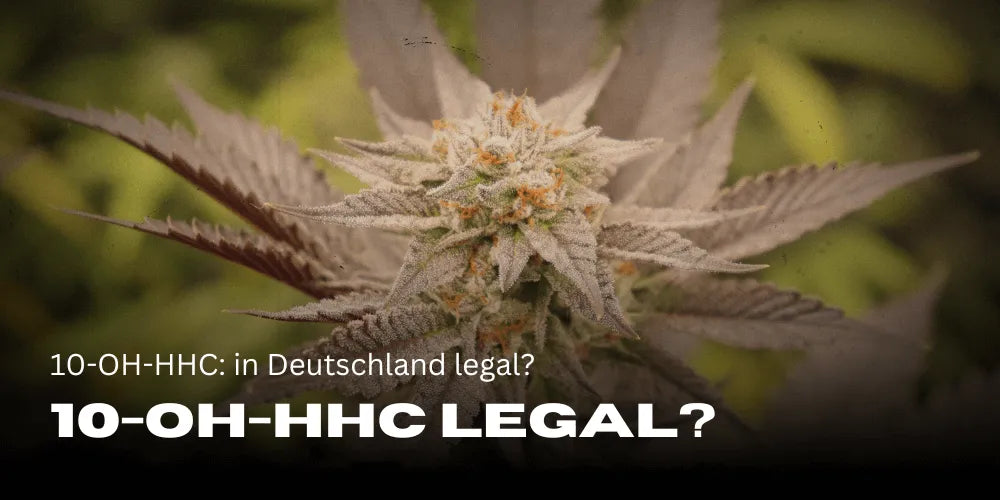 10-OH-HHC: legal în Germania?
