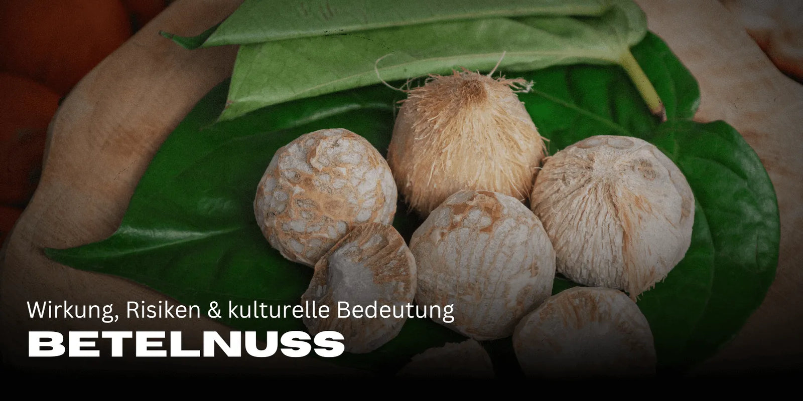 Betelnoot: Effecten, risico’s & culturele betekenis