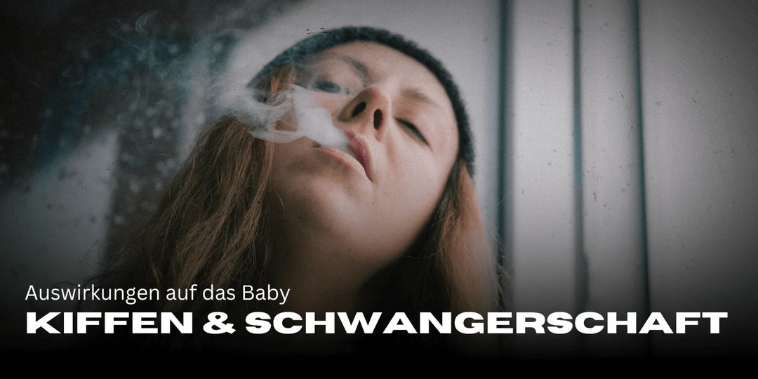 Fumeur régulier de weed & grossesse : effets sur le bébé