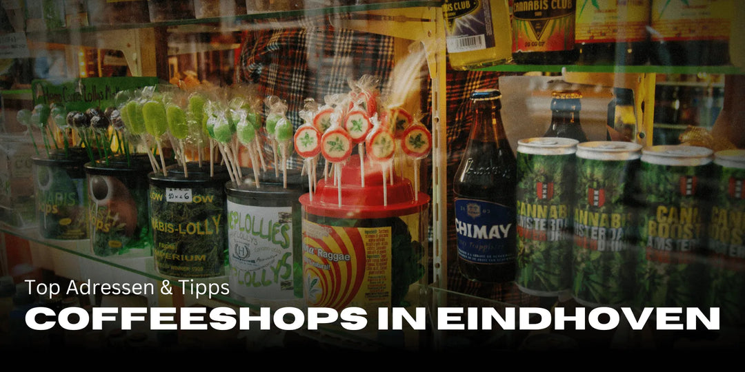 Meilleurs coffeeshops à Eindhoven ☕ Adresses incontournables & conseils
