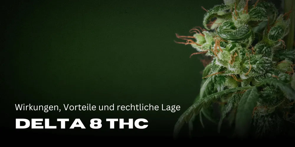 Delta 8 THC: Efecte, avantaje și situația legală