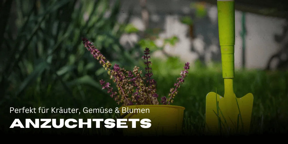 Kits de culture : Parfaits pour les herbes, légumes et Fleurs