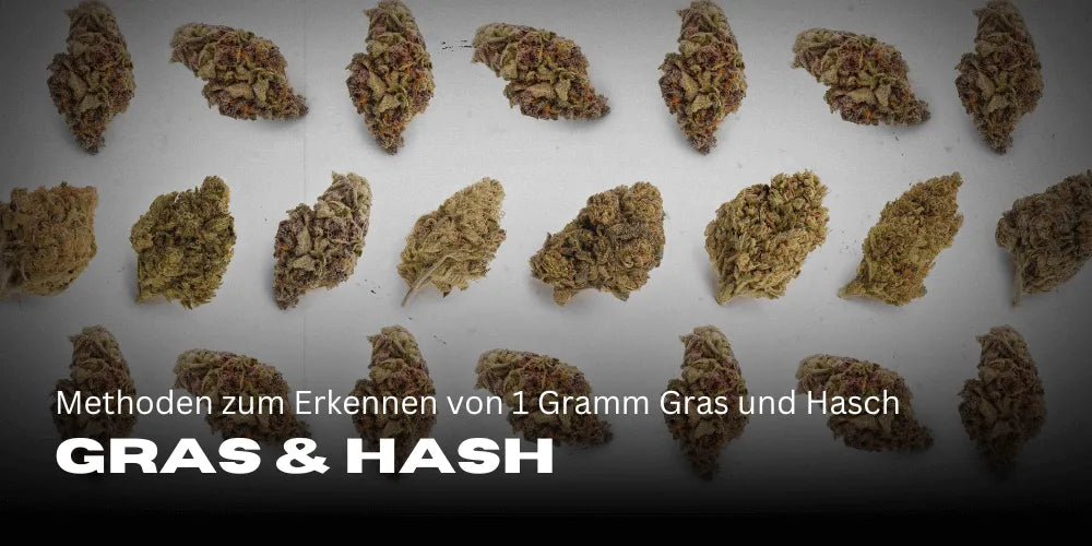 Módszerek 1 gramm fű és hasis felismerésére
