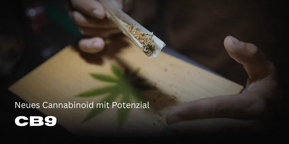 CB9: Obiecujący kannabinoid z potencjałem