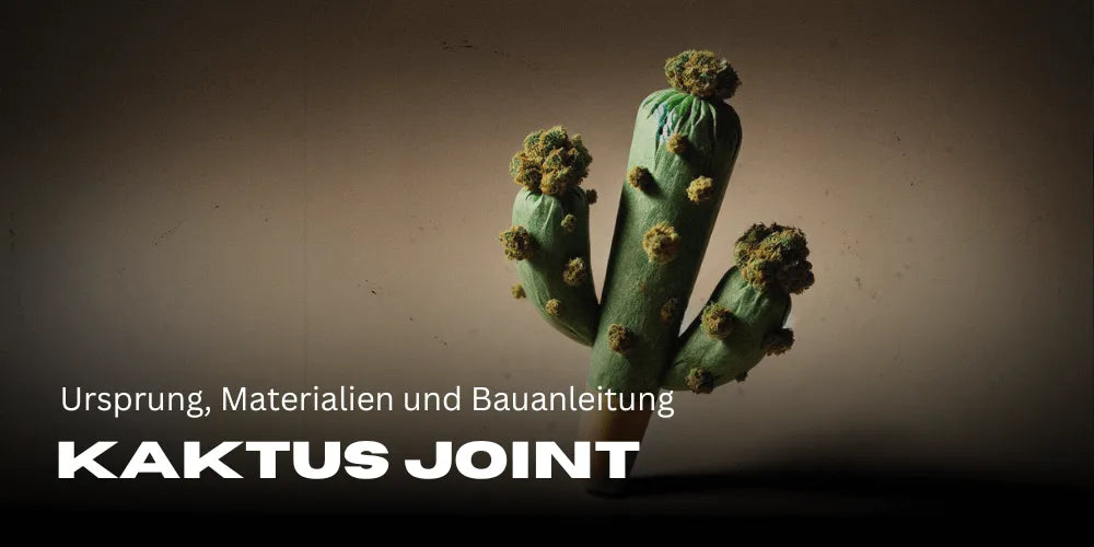 Kaktus Joint : origine, matériaux et guide de fabrication