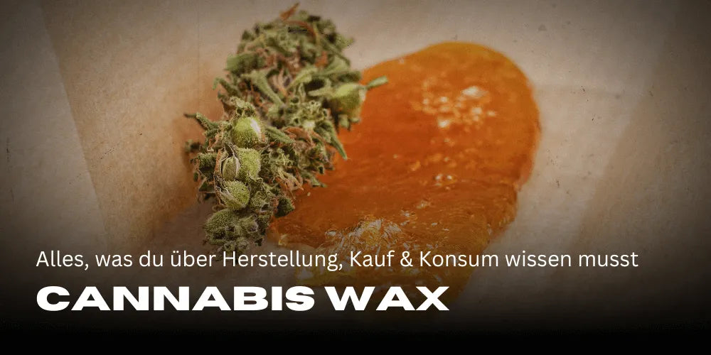 Cannabis Wax: Alles wat je moet weten over productie, aankoop en gebruik 