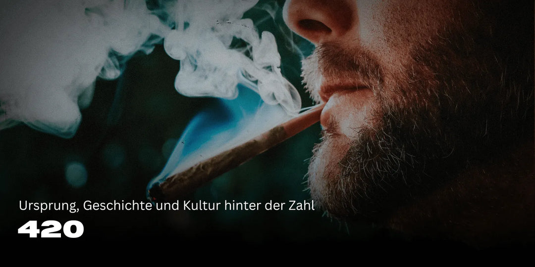 420 Betekenis: oorsprong, geschiedenis en cultuur achter het getal 🌿