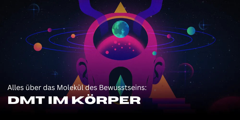 DMT dans le corps : Tout sur la molécule de la conscience