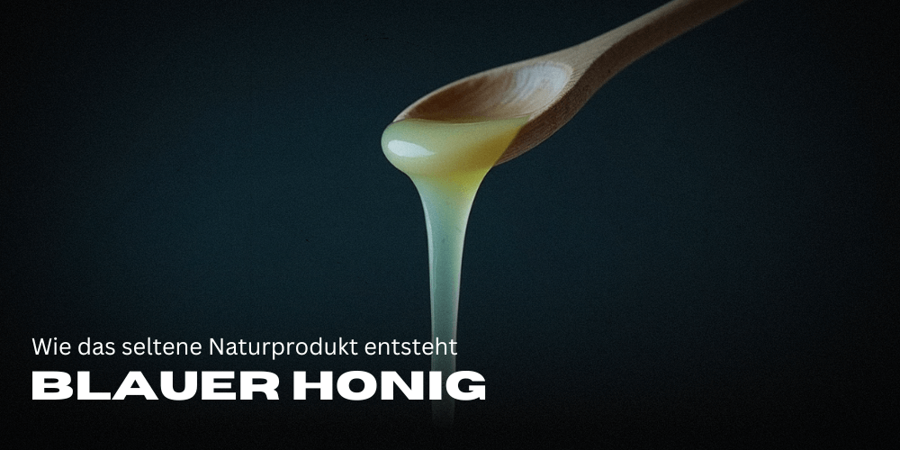 Blue Honey: How the Rare Natural Product is Created and Why it Fascinates