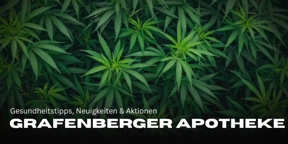 Grafenberger Apotheke Blog: Gesundheitstipps, Neuigkeiten & Aktionen ✓