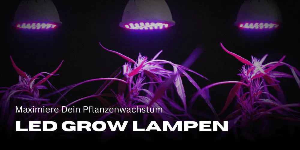 Las mejores lámparas LED de cultivo 2024: Maximiza el crecimiento de tus plantas