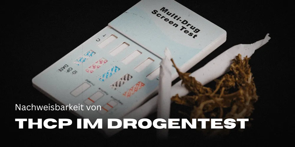 Wykrywalność THCP w teście narkotykowym podczas kontroli drogowej