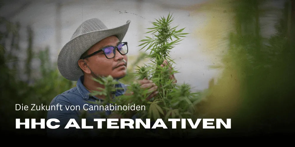 Alternative HHC – Viitorul canabinoizilor
