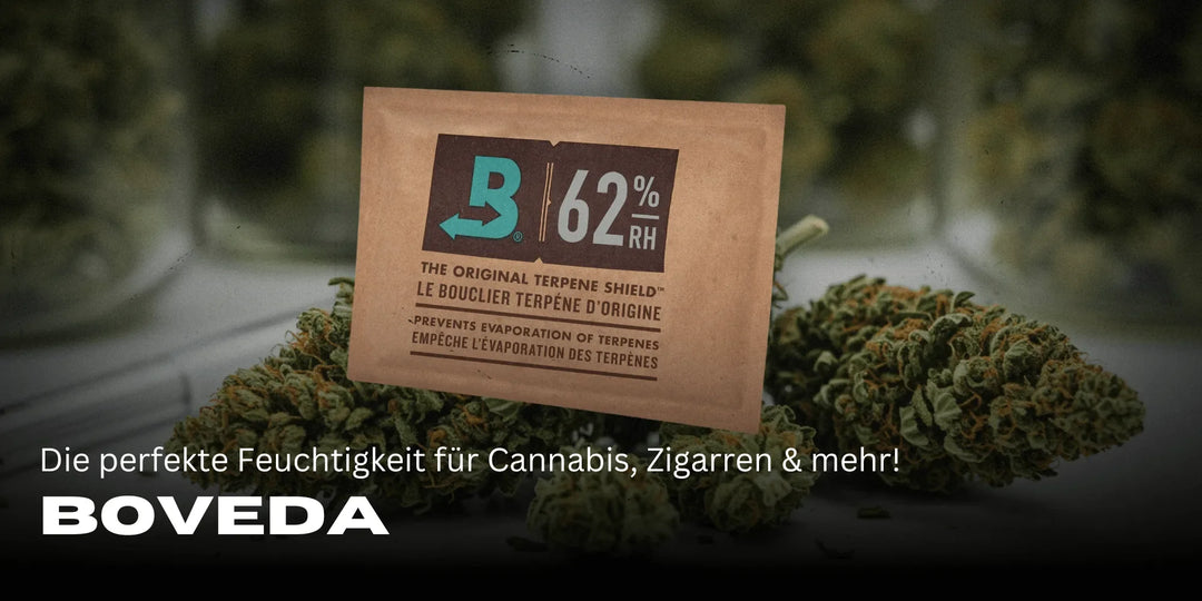 Bien utiliser Boveda : guide pour un contrôle optimal de l’humidité