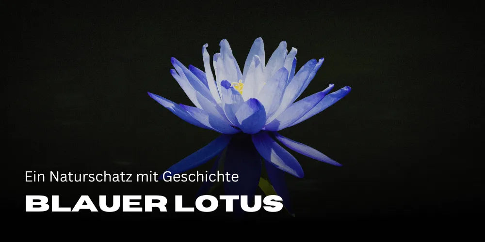 magia Lotusului Albastru